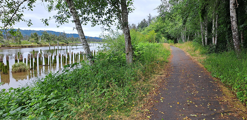 Waterside trail path